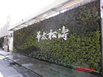 華太松濤新建工程綠籬